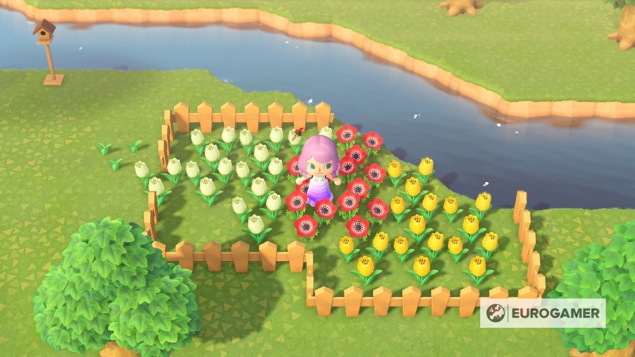 Animal Crossing Flores híbridas, combinaciones de colores y todo lo